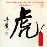 Master Blaster and the Tiger of Chinatown by Bruce C. Davis